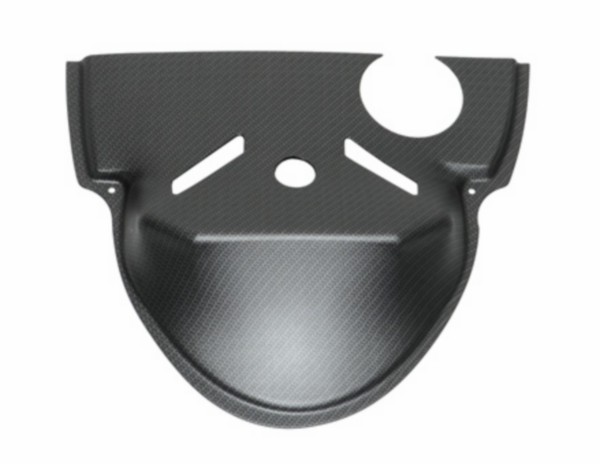 Binnenspatbord Zip 2000 Zip 2000 SP carbon achter DMP
