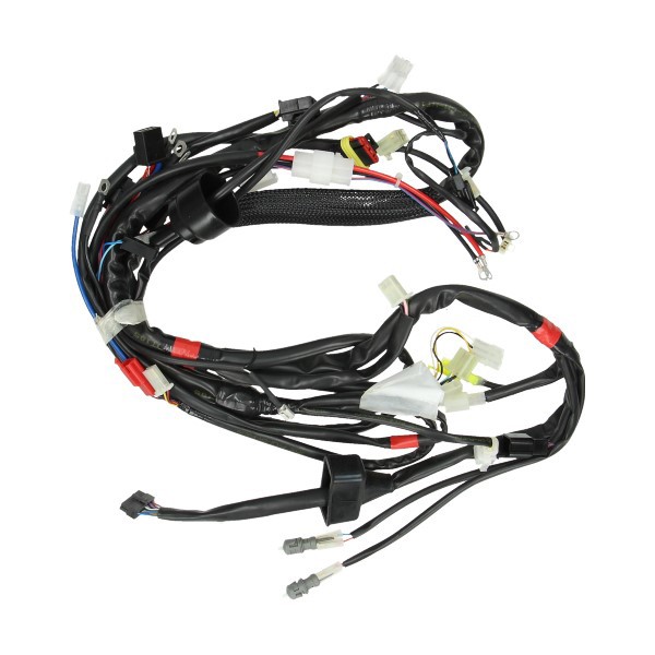 Wire harness Malaguti Phantom F12R LC original 01744600