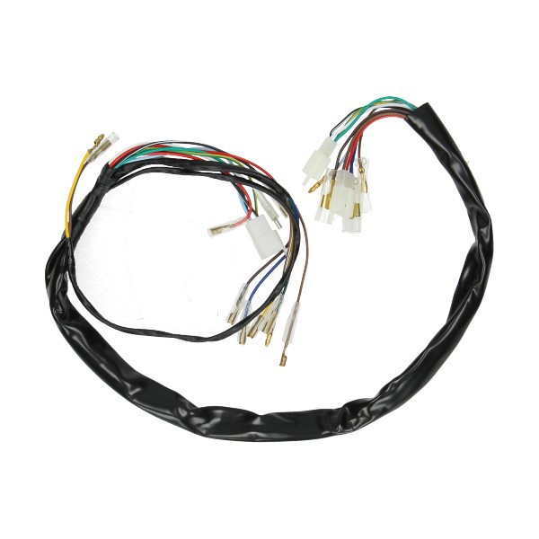 Wire harness Yamaha FS1 DMP