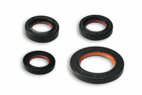 Dichtungsset Piaggio 2-takt Malossi 6615749