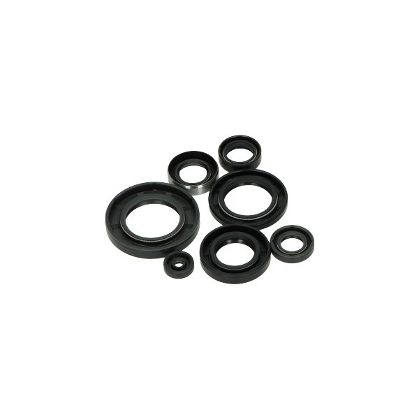 Seal set ( for rotating disk engine) Yamaha FS1 BAC