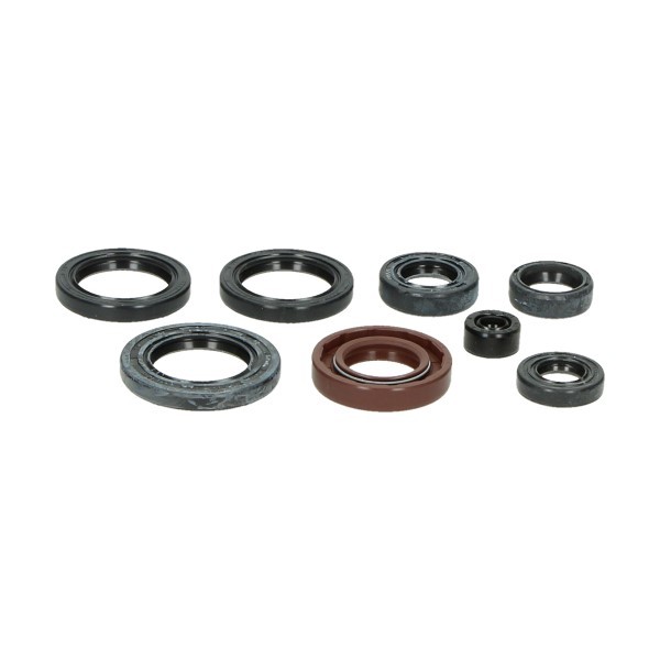 Seal set Yamaha FS1-dx BAC