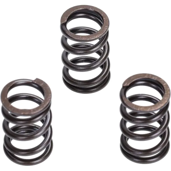 Valve Malossi spring set euro-5 suits on Liberty IGET, Vespa Primavera 4t-3v, Piaggio Zip 4-stroke 3V 2919806