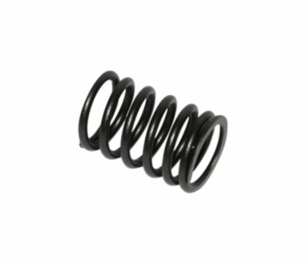 Valve spring outside China 4 stroke GY-6 Kymco 4S