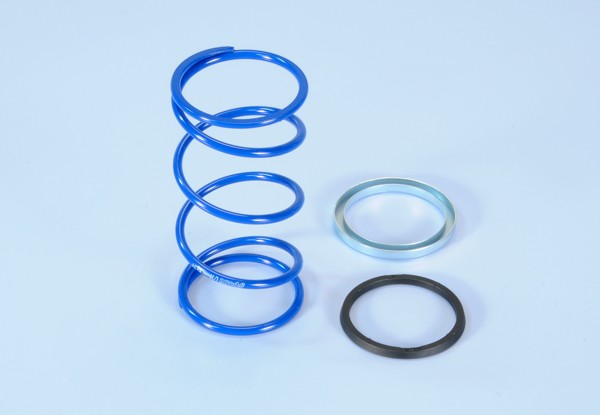 Clutch compression spring set + 87% Minarelli 3.8 Polini evo slider 243.104