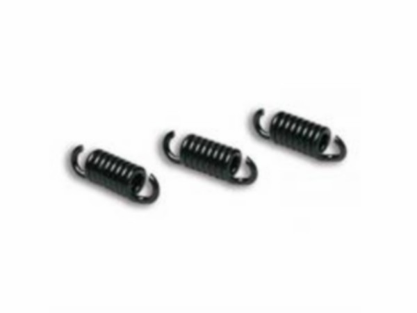 Clutch spring set Honda Kymco Piaggio 2-stroke black Malossi 297391 3-delig