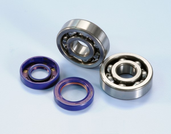 Crankshaft bearing + sealset Minarelli am6 Polini 282.0003