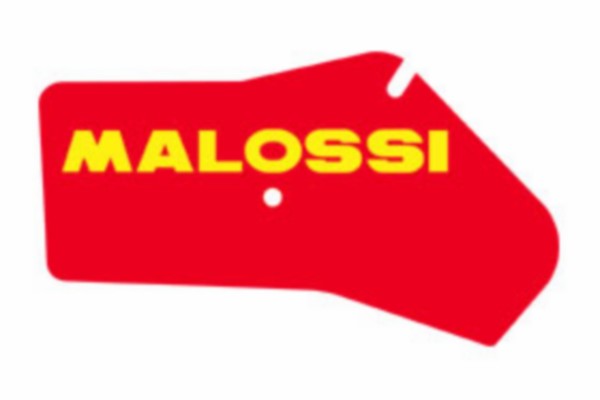 Luchtfilterelement Honda SFX Malossi 1411410