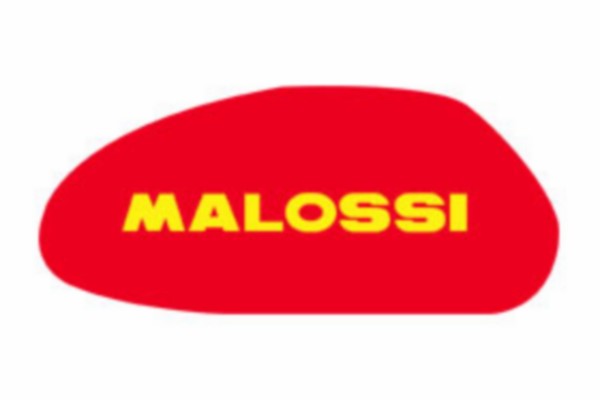 Filterelement Malaguti Yahama Aprilia 250cc Malossi 1411417