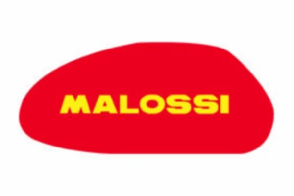 Air filter element malaguti Yamaha Aprilia 250cc Malossi 1411417