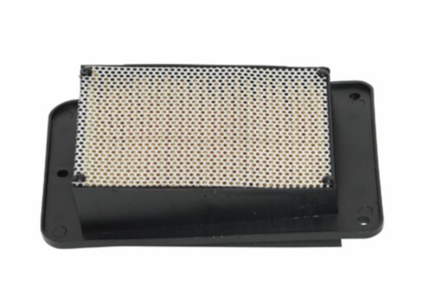 Air filter element Symphony Tonik Peugeot Tweet DMP