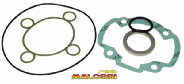 Pakking topset Peugeot Speedfight LC 47mm Malossi 119842