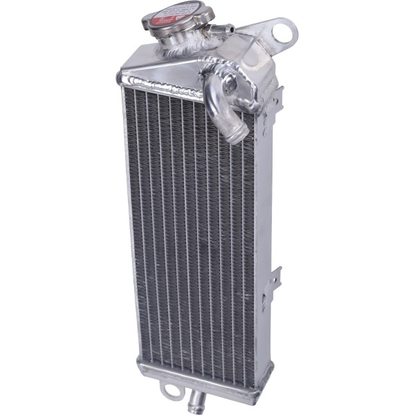 Radiator dtr 125 Yamaha