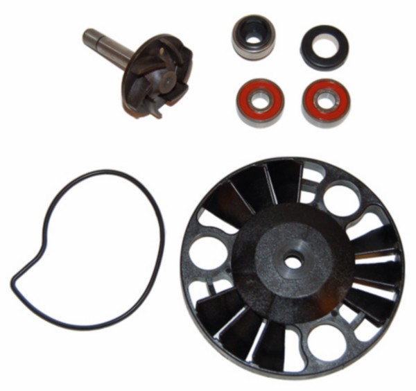 Revision kit water pump Gilera Runner 180cc 4-stroke Gilera Runner 200cc