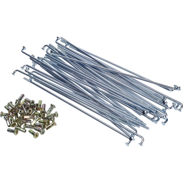 Spaakset DMP 185x2.9 36pcs passt auf maxi, Puch