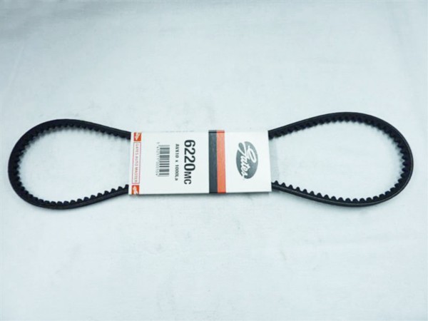 V-belt Vespa Ciao Gilera Citta 1000mm Bando rpf2395