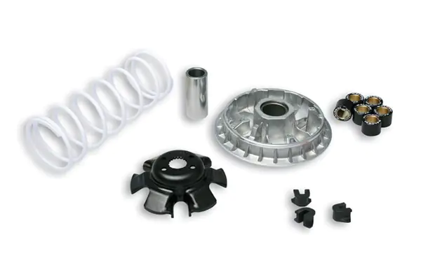 Variator euro-3 Dink 200 down300ie nikita Malossi 5114238