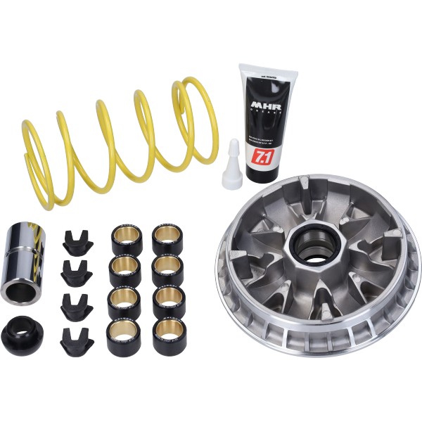 Variator Malossi euro-5 passt auf Piaggio MP3 530 HPE 5119793