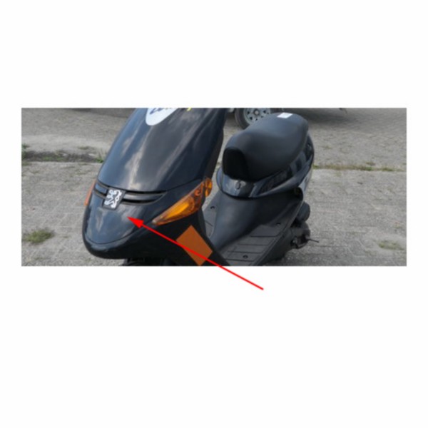 Vordere Scheibe mitten Peugeot Peugeot Zenith Schwarz basic n original 729328n