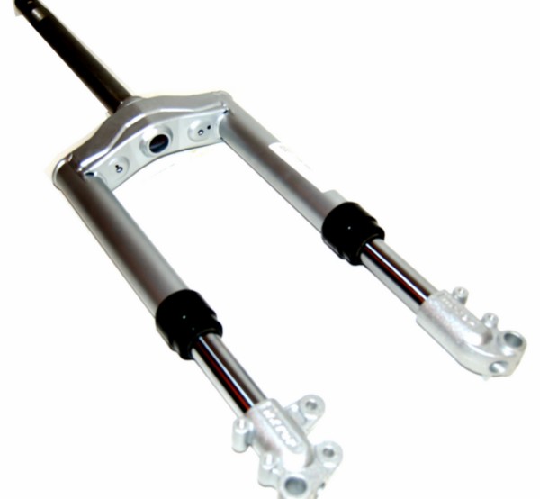 Front fork model disc brake deliverix Ludix pro ba 14 inch