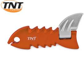 Kickstarter Piaggio Tnt fish orange