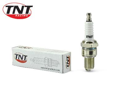 Spark plug Tnt F10Rc (Br8Es)