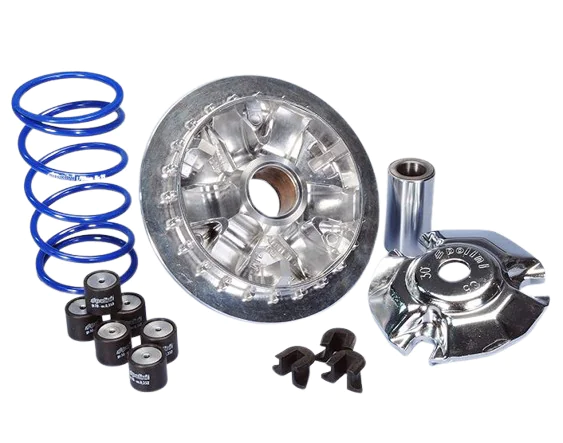Variator Polini + Feder Yahama passt auf nmax 155 241.729