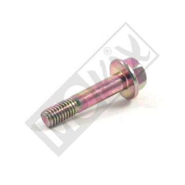 BOUT REMSLEUTEL 6X30MM (GOLD COL