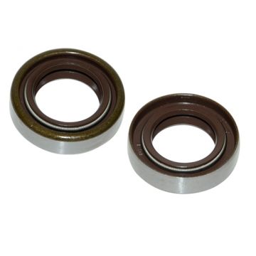 Keerring dubbele veer Viton 17x28x7