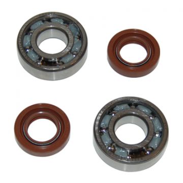 Lager met keerringset Derbi GP/GPR/Senda/zulu cif