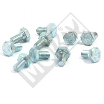 Bout M6x10mm 8,8 10 stuks