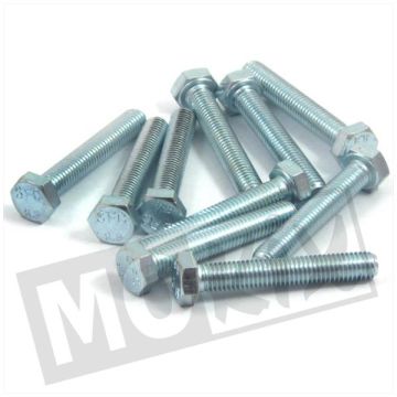 Bout M8x50 ELVZ 8.8 10 stuks