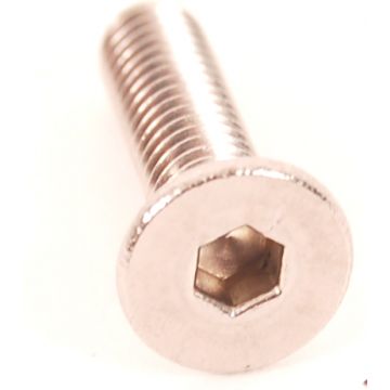 Rempotdeksel bout m4x16mm roestvrijstaal 25 stuks