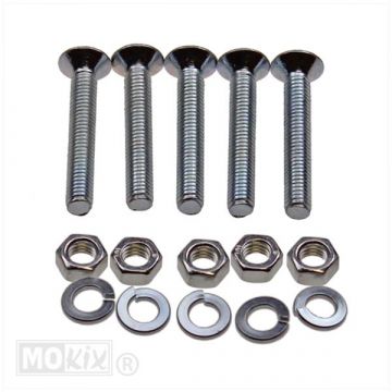 Bout verzonken M6x40mm 5 stuks