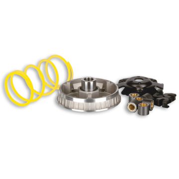 Variateurkit Yamaha Majesty 125/150/180 Malossi 5113134
