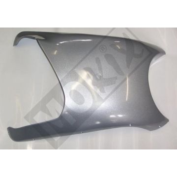 Unterspoiler / Seitenschweller Beta Ark Silber Original