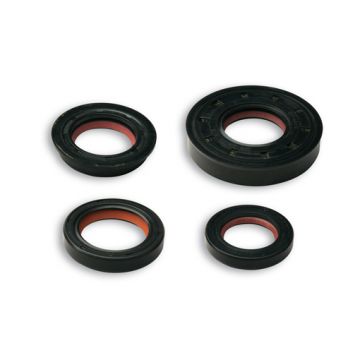 Wellendichtringsatz Minarelli Horizontal + Vertikal Malossi 6615754