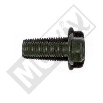 ZIJ STANDAARD BOUD M10x22 CHI CLASSIC LX