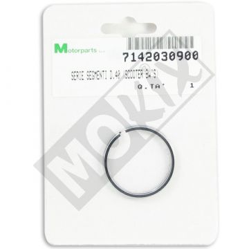 ZUIGERVEERSET 40.00 BETA