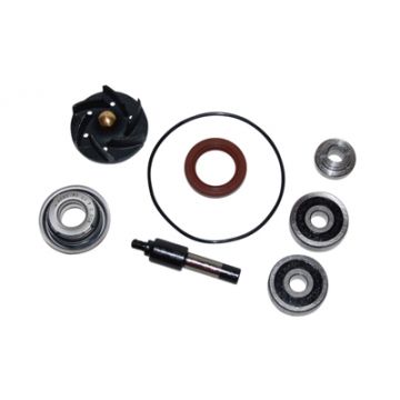 Waterpomp revisie set Vespa GTS/GTV/nex