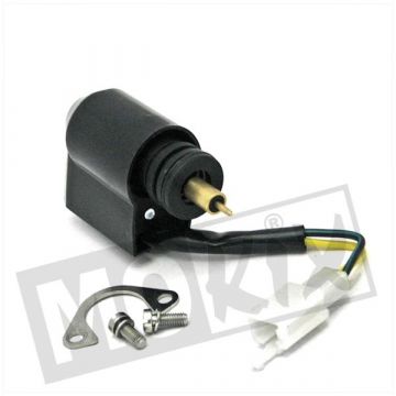 Bye Bike elektrische choke