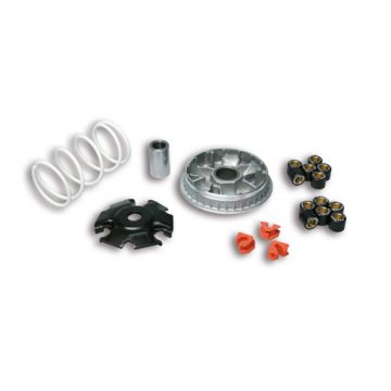Variateur Vespa Primavera 125 4T Malossi 5116149
