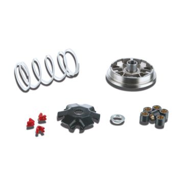 Variator Malaguti Phantom F12R AC mit Malossi 5113363 Pop Quad.
