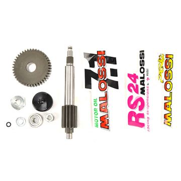 Overbrengingset primair Minarelli horizontaal Yamaha Aerox/MBK Nitro 14/2-takt Malossi 6714733