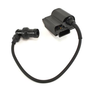 Bobine / CDI-unit 25km/h Piaggio 50cc 4-takt 2V Zip/Primavera/Sprint/LX/LXV/S/Liberty/Fly/ET4/Scarabeo/Sportcity/Atlantis/Centro origineel 639875 (cm268002)