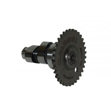 nokkenas agi/ksb/peop4t/sco bao/sco gy6/sento/v-clic/vit malossi 5914143