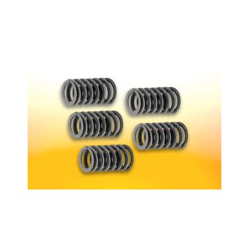 Koppelingsdrukveer set gpr Gilera GSM Senda Malossi 2912018 5 stuks
