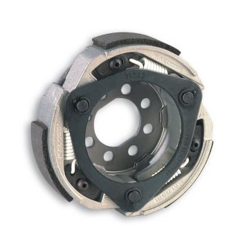 Koppelingssegmenten- Malossi Delta- Piaggio 125-200 cc Leader/Piaggio 250 Quasar/HPE/Piaggio 300 cc Quasar/HPE 5211821