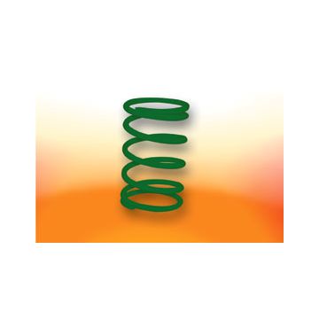 Koppelingsdrukveer -Malossi Racing- Koppelingsdrukveer -Malossi MHR- Piaggio motorblok 50 2-takt/4-takt/Dink/KB/K12 groen 3,9 298323.G0