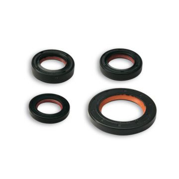 Keerringsset motorblok -Malossi PTFE/FKM- Piaggio 50 ac/lc type HiPer 2 1998-&gt; Primavera/Sprint/LX/LXV/S/ET2/Mojito/Scarabeo/Sportcity One/SR/Atlantis/GP1/DNA/Ice/Runner/Storm/Stalker/Typhoon/Fly NRG/NTT/Liberty/Zip 6618160